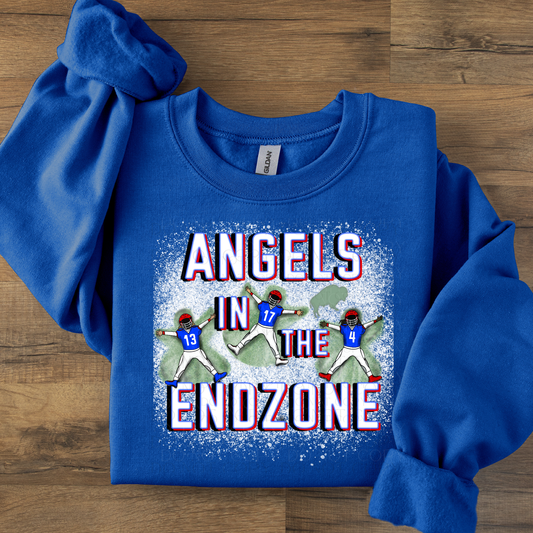 Angels in the End Zone Buffalo  DTF Transfer